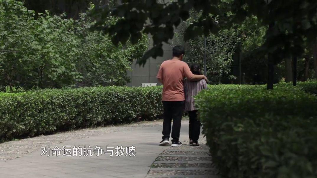 今世緣等著我最新一期，今晚相約情緣之夜